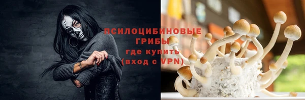 стафф Анива